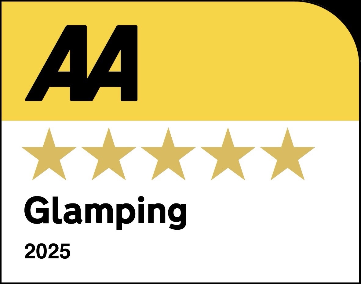 AA-5GoldStars-GLA